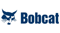 bobcat